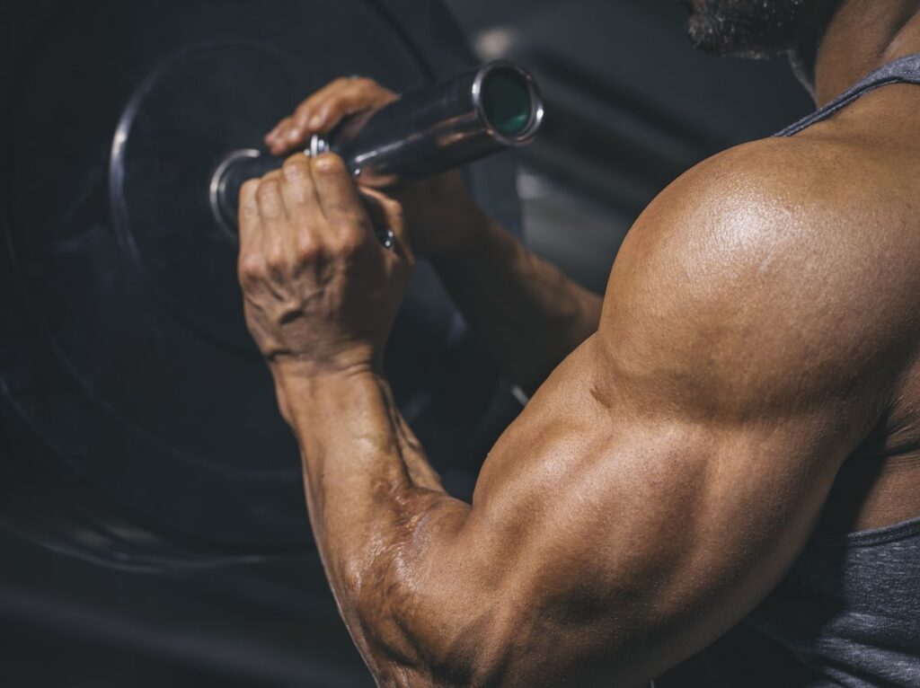 Might it be said that you are a Genuine Muscle head or Simply a Wannabee?
